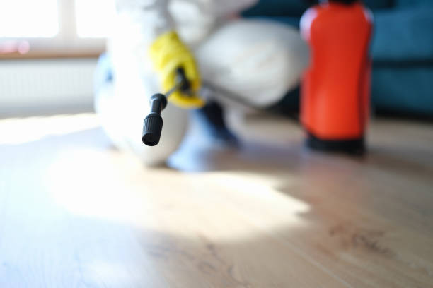 Best Mold Prevention Services  in Sharpsville, PA