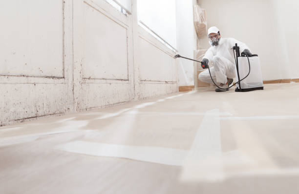 Mold Remediation for Vacation Homes in Sharpsville, PA